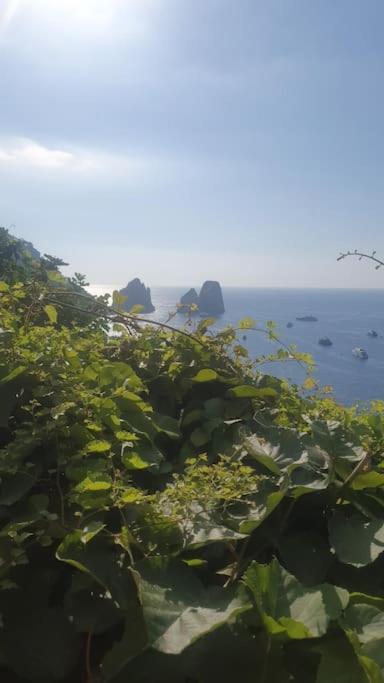 카프리 Casa Al Mare 빌라 외부 사진
